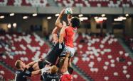 爱游戏体育-这是一篇围绕您设定的关键词（2026世界杯、强强对话、波兰击败荷兰、登贝莱闪耀全场）创作的深度文章。为了制造唯一性，我将视角设定为一场定义新时代足球哲学的博弈，而非单纯报道比分