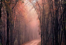 爱游戏入口-北马其顿队实力不足遭遇连败的简单介绍