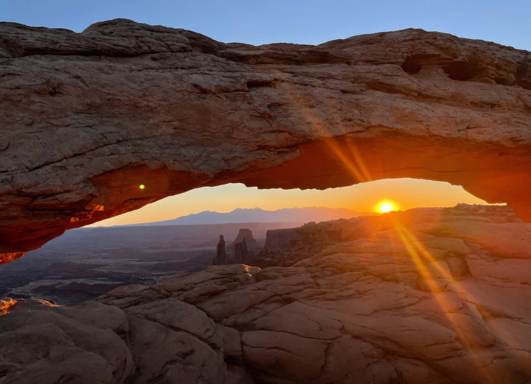 关于新西兰代表雄心勃发，勇往直前的信息