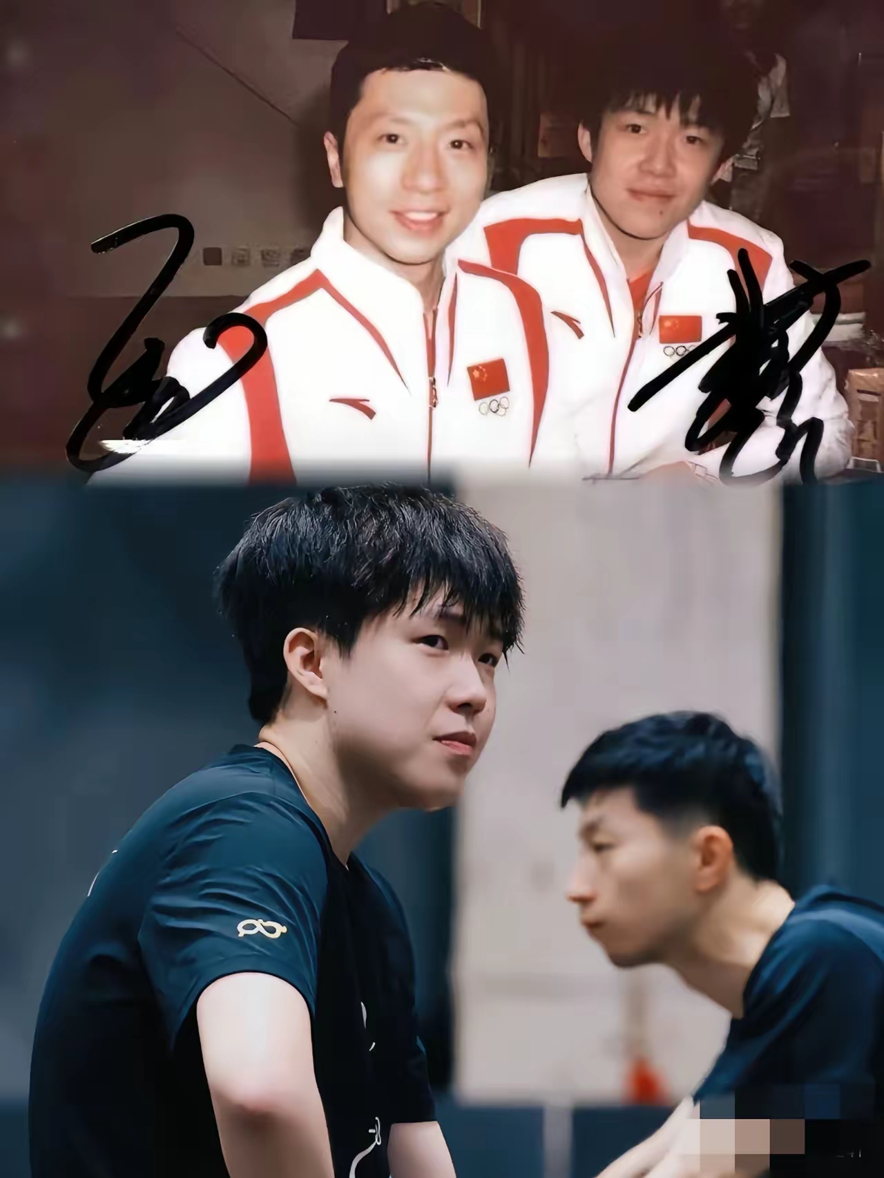 德国乒乓球队翻盘法国乒乓球队，马龙绝境逆转的简单介绍