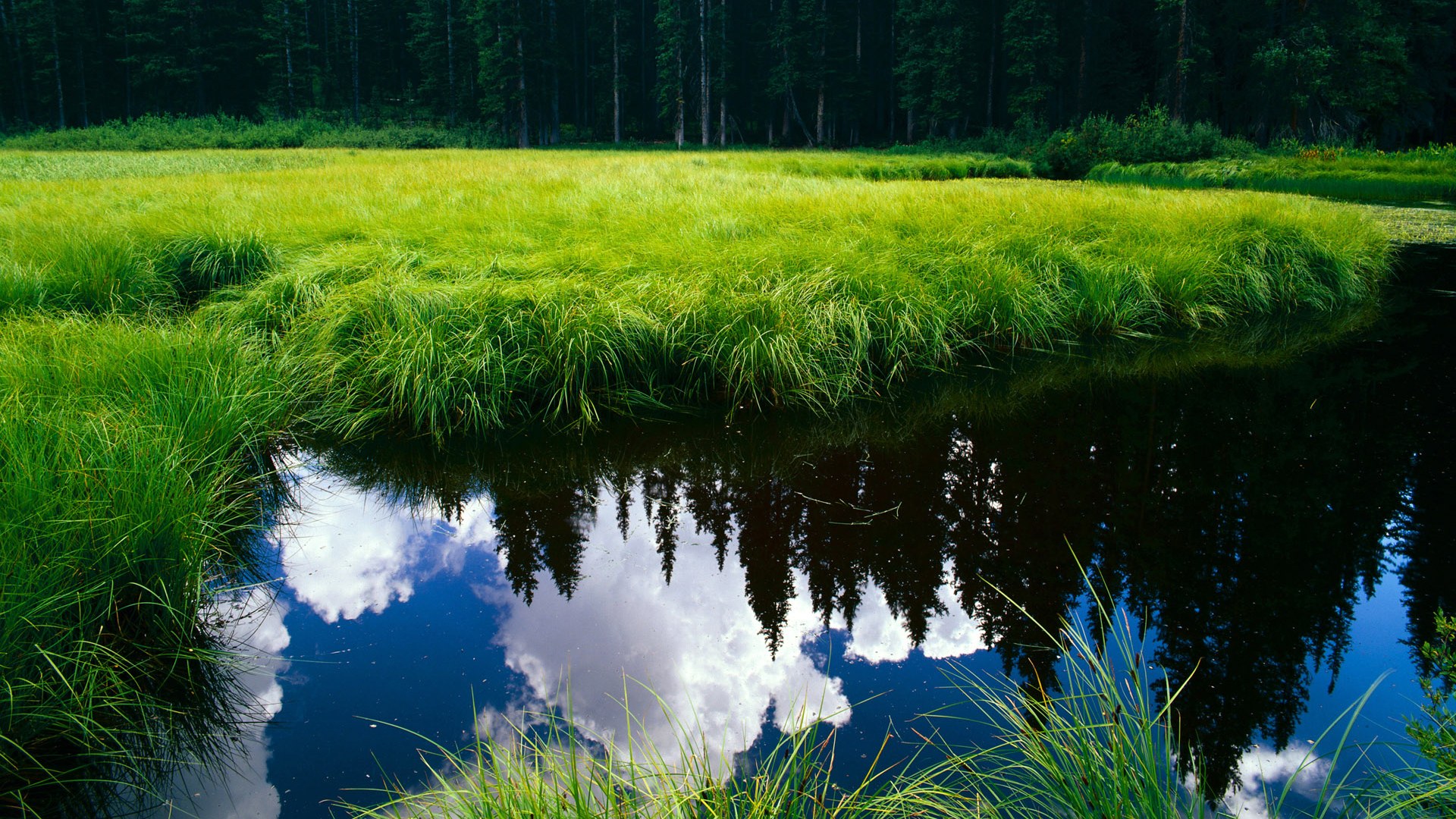 巴雷拉关键回合不手软，哥伦比亚力克勒沃库森展现南美坚韧