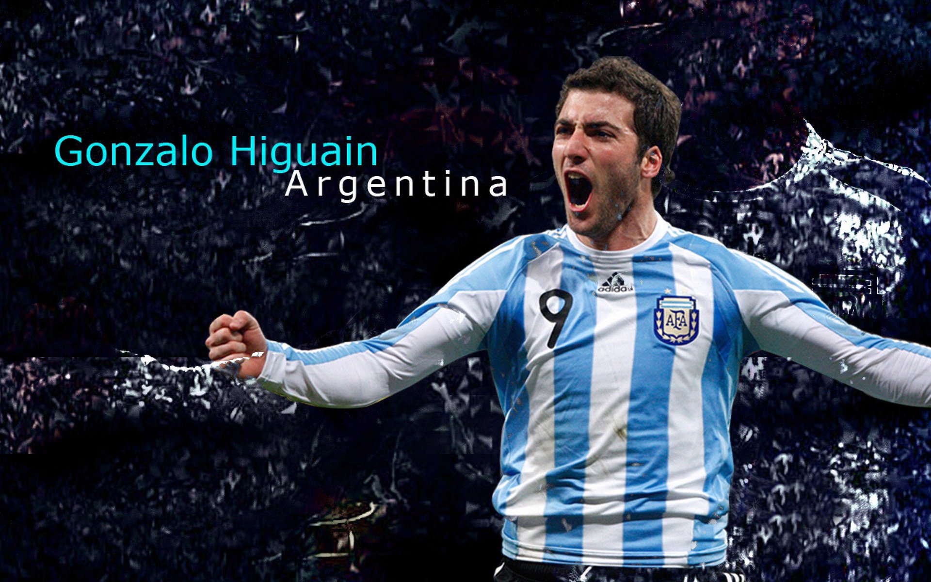 舞台越大，他越强，贝恩在猛龙对阵森林狼之战中闪耀